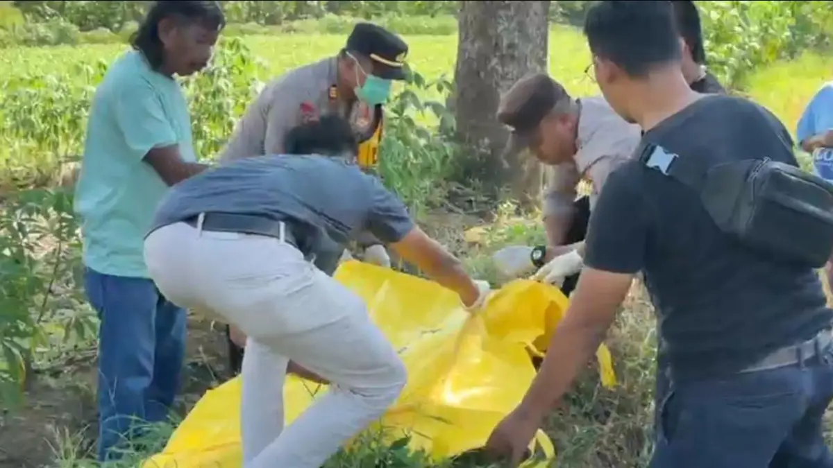 EVAKUASI: Anggota Polsek Kejayan mengevakuasi jenazah Tiyama dari area pesawahan di Desa Ketangirejo, Senin (27/4) siang.