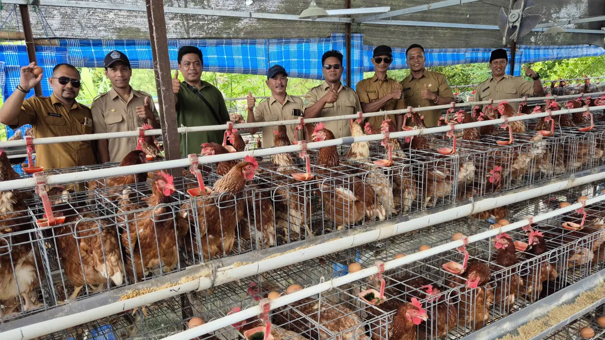 SUMBER PAD:&nbsp;Pemerintah Desa Kedawang mengembangkan peternakan ayam petelur melalui BUMDes. Unit usaha ini diharapkan dapat memompa pendapatan asli desa. (Foto: Fahrizal Firmani/Jawa Pos Radar Bromo)