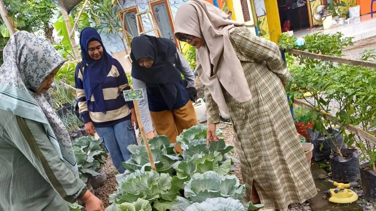 KONSEP GREEN HOUSE: Program Kawasan Rumah Pangan Lestari di Desa Sedarum yang pernah memenangi lomba tingkat kabupaten. (Foto: Pemdes Sedarum for Jawa Pos Radar Bromo)