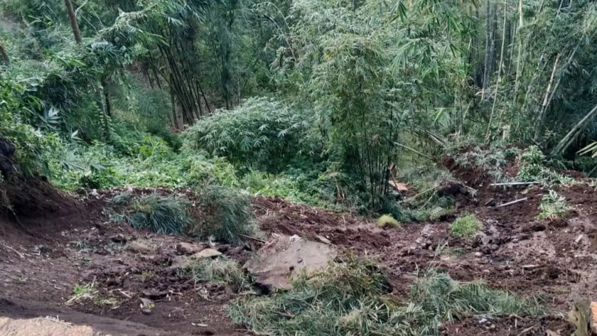EVAKUASI: Sejumlah warga kerja bakti mengevakuasi material longsor di Dusun Krajan 2, Desa Andonosari, Kecamatan Tutur. (PEMERINTAH KECAMATAN TUTUR FOR JAWA POS RADAR BROMO)