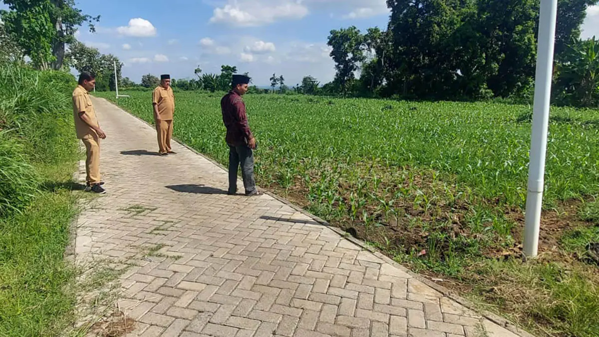 DUKUNG PETANI: Jalan Usaha Tani (JUT) menunjang mobilitas petani paska panen. (Foto: Pemdes Sanganom for Jawa Pos Radar Bromo)