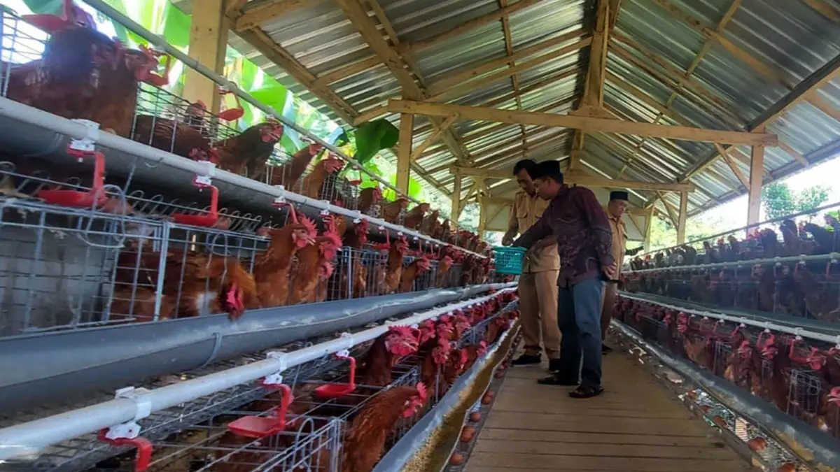 KETAHANAN PANGAN : Kandang ayam petelur di Desa Sanganom mampu menopang ketahanan pangan. (Foto: Pemdes Sanganom for Jawa Pos Radar Bromo)