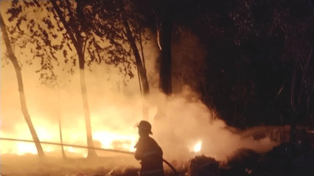 LUDES: Damkar Kabupaten Probolinggo memadamkan api yang membakar rosokan dan bangunan semi permanen di Dusun Bedian, Desa Alaskandang, Kecamatan Besuk. (Foto: dok Jawa Pos Radar Bromo)