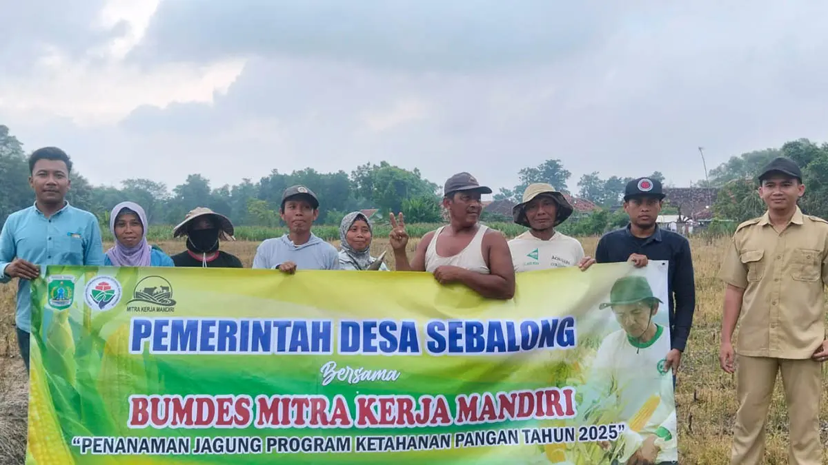 SWASEMBADA PANGAN: Penanaman jagung di Desa Sebalong dukung program ketahanan pangan yang digencarkan pemerintah pusat. (Foto: Pemdes Sebalong for Jawa Pos Radar Bromo)
