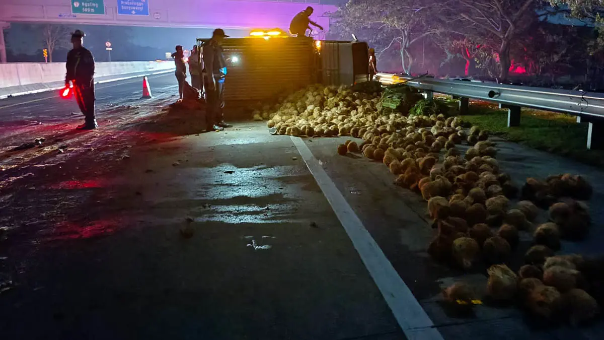 BERSERAKAN: Kelapa yang diangkut Muljono menggunakan pikap, berserakan di jalan tol. (Kasat PJR Ditlantas Polda Jatim for Radar Bromo)