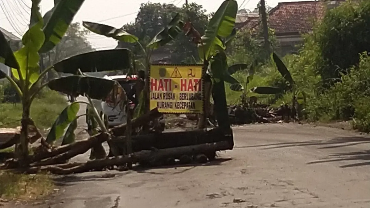 PENANDA: Pohon pisang yang ditancapkan di jalan. Selain sebagai bentuk protes, langkah ini juga dilakukan, untuk memberi tanda bagi pengendara, agar berhati-hati saat melintas (Fuad Alyzen Jawa Pos Radar Bromo)