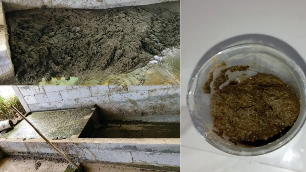 1.	Tempat penampungan slurry biogas dalam bentuk padat dan cair serta sampel yang diambil