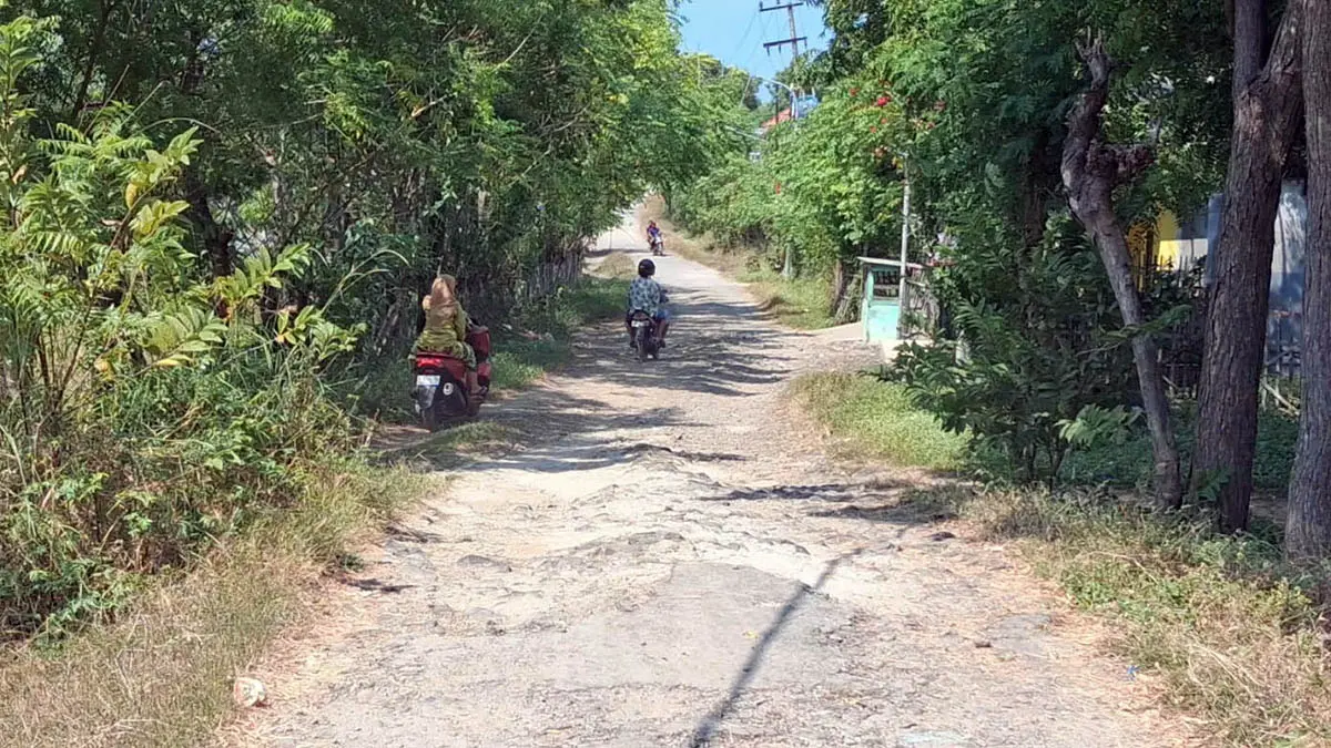 MAKADAM: Jalan Desa Watuprapat, Kecamatan Nguling, yang rusak parah. Tahun ini, perbaikan jalan setempat akan diperbaiki. (Fuad Alyzen/Radar Bromo)
