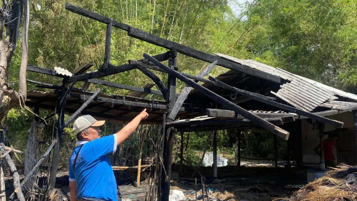 HANGUS: Kondisi kandang sapi milik warga Lekok yang hangus terbakar. 