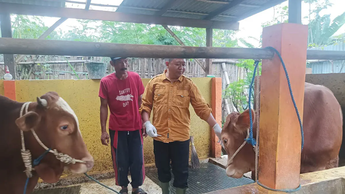 HARUS SEHAT: Petugas melalukan penyuluhan dan vaksin ternak di Sekargadung, Purworejo beberapa waktu lalu. (Foto: Dinas Pertanian, Perikanan dan Ketahanan Pangan)