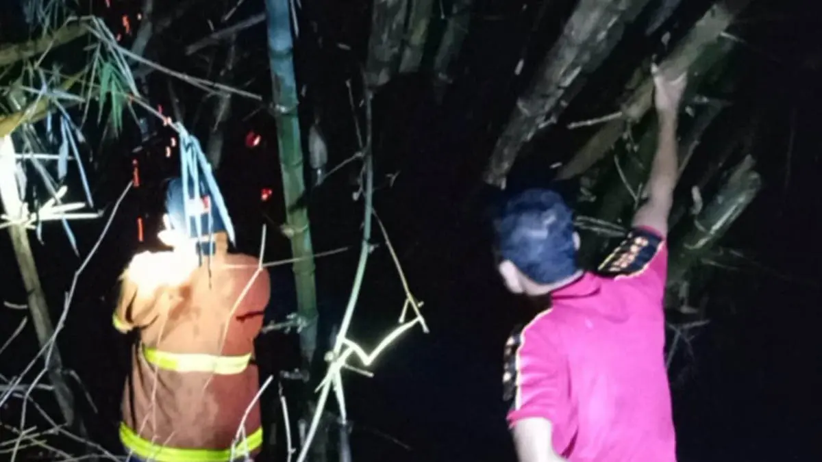 LOKASI KEJADIAN: Personel damkar memadamkan api yang membakar ilalang. (Foto: BPBD for Jawa Pos Radar Bromo)