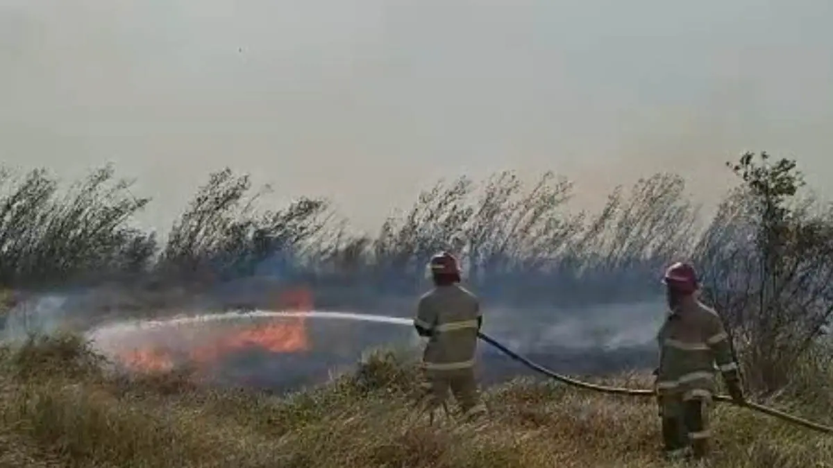 RAWAN: Personel damkar memadamkan lahan yang terbakar. (Foto: dokumen Jawa Pos Radar Bromo)