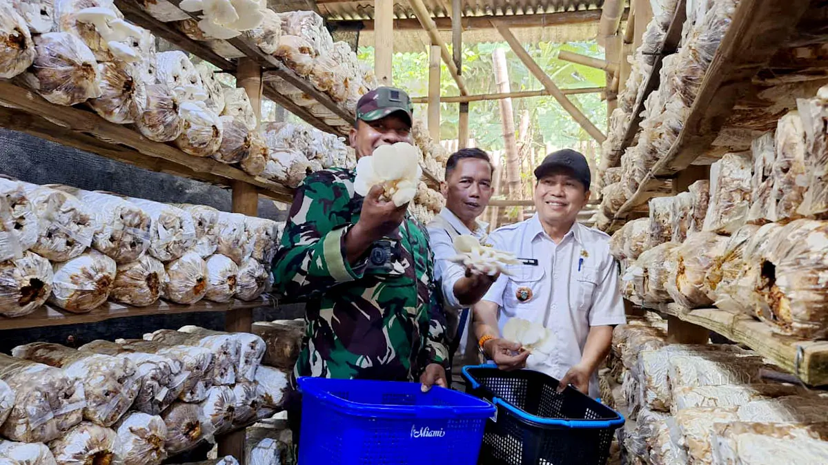 TAHAN BANTING: Geliat pertanian jamur di wilayah Kecamatan Purwosari, Kabupaten Pasuruan. Di tengah tekanan global, sektor pertanian jamur diklaim masih bergairah. (Muhamad Busthomi/Radar Bromo)