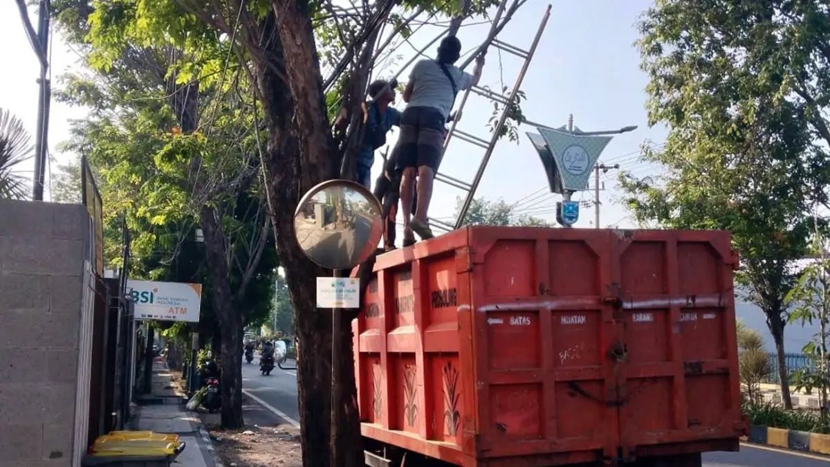 BERBAHAYA : Petugas melakukan pembersihan pohon di ruas Jalan Panglima Sudirman Kraksaan menggunakan alat seadanya. (Achmad Arianto/ Radar Bromo)