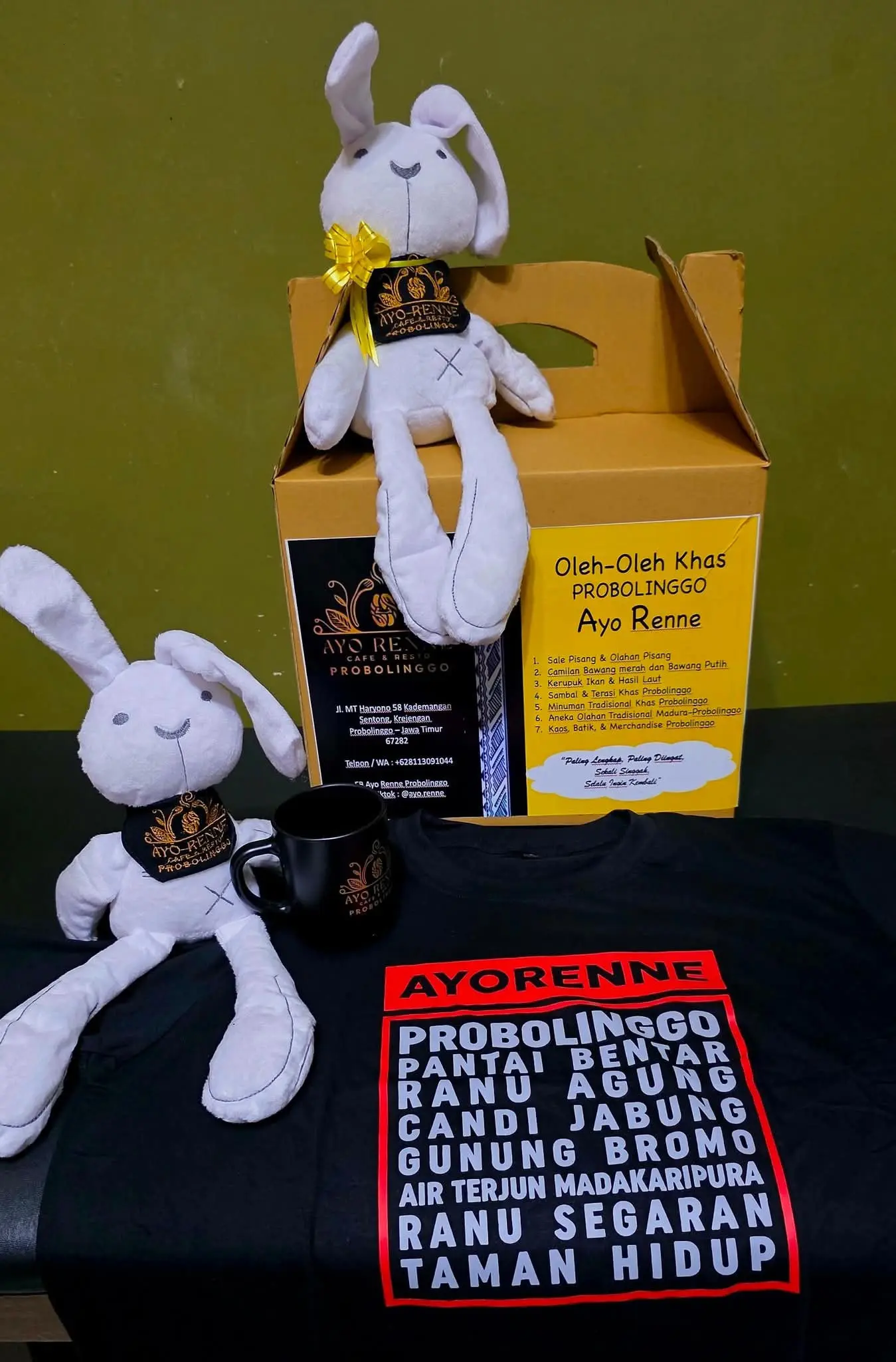 MASKOT: Mascote Bony Ayo Renne Probolingo