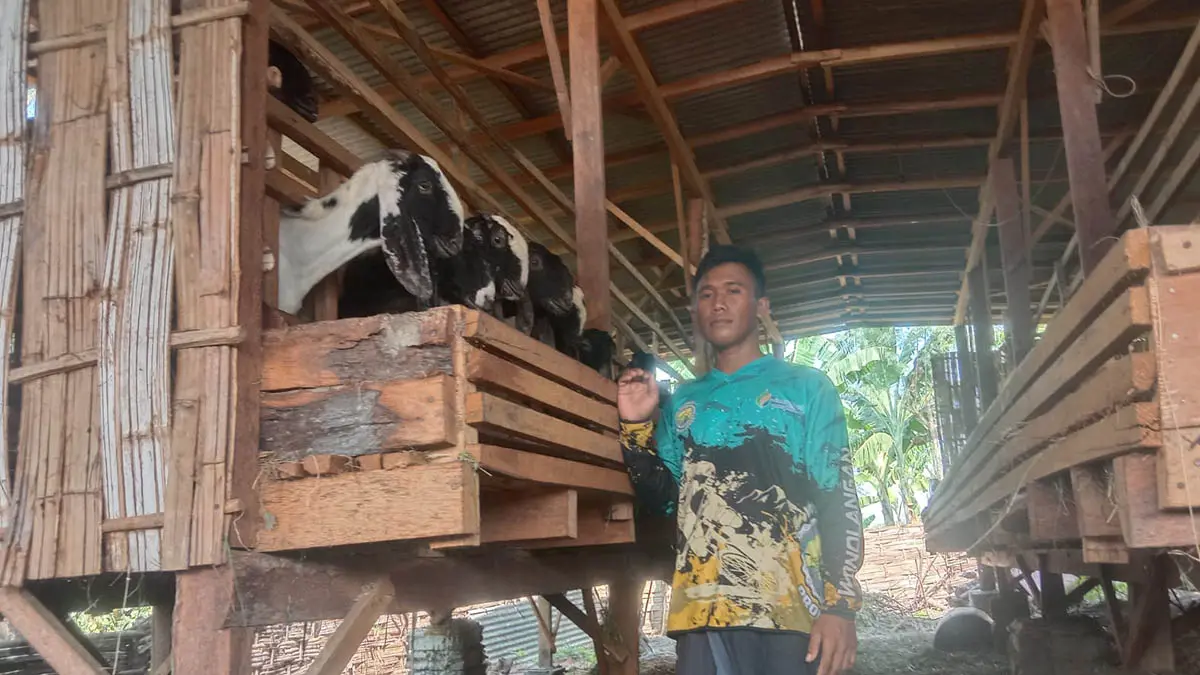 TERNAK: Ketua Bumdes Sumber Rejeki Desa Sekarkare, Non Fa`i saat foto di depan kandang kambing ketahanan pangan di Desa Sekarkare, Kecamatan Dringu. (Foto: Pemerintah Desa Sekarkare for Jawa Pos Radar Bromo)