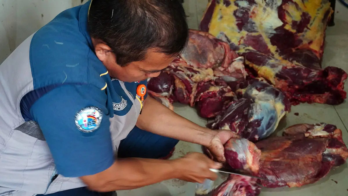 KEPEDULIAN: Sebagai bentuk amanah dalam memastikan distribusi daging kurban dapat diterima dengan layak dan penuh manfaat bagi masyarakat.