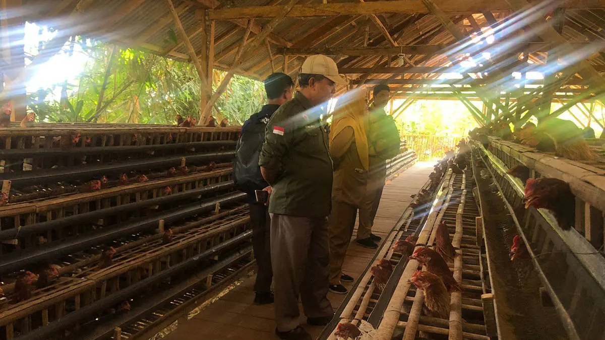 POTENSIAL: Pendamping Lokal Desa Kecamatan Leces, Hel Abdul Rozaq di lokasi peternakan ayam petelur di Desa Sumberkedawung, Kecamatan Leces. (Foto: Inneke Agustin/Jawa Pos Radar Bromo)