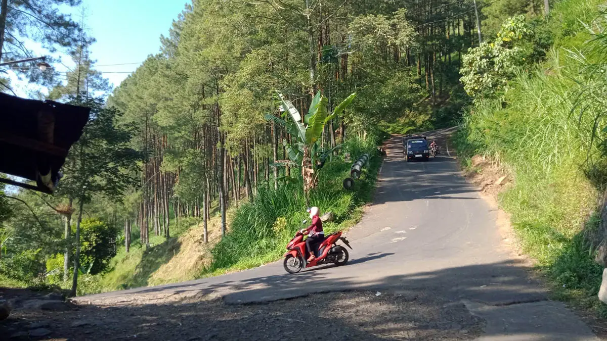 STRATEGIS: Jalan Gunung Tunggangan di Desa Tlogosari, Kecamatan Tutur, Kabupaten Pasuruan ini, menjadi urat nadi penghubung strategis menuju Kecamatan Jabung, Kabupaten Malang. (Rizal Syatori/Radar Bromo)