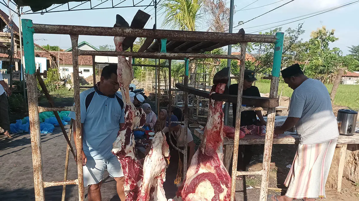 KORBAN: Suasana penyembelihan hewan di daerah Sidomukti, Kraksaan. (Foto: Agus Faiz Musleh/Jawa Pos Radar Bromo)