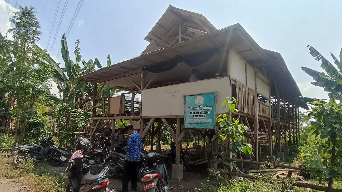 BUDI DAYA: Kandang ayam petelur BUMDes Desa Kerpangan, yang menampung ratusan ayam petelur. (Foto: Jamaluddin/Jawa Pos Radar Bromo)