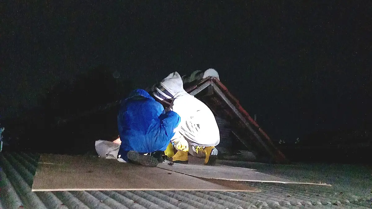 EVAKUASI: Tim Damkar Satpol PP Kabupaten Probolinggo mengevakuasi sarang tawon vespa di Desa Brani Kulon, Kecamatan Maron, beberapa waktu lalu. (DOK. JAWA POS RADAR BROMO)