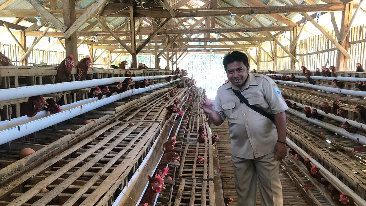 KETAHANAN PANGAN: Kaur Keuangan Desa Jorongan, Andy Rachman saat menunjukkan telur dari ternak ayam di Dusun Krajan 2. (Foto: Inneke Agustin/Jawa Pos Radar Bromo)