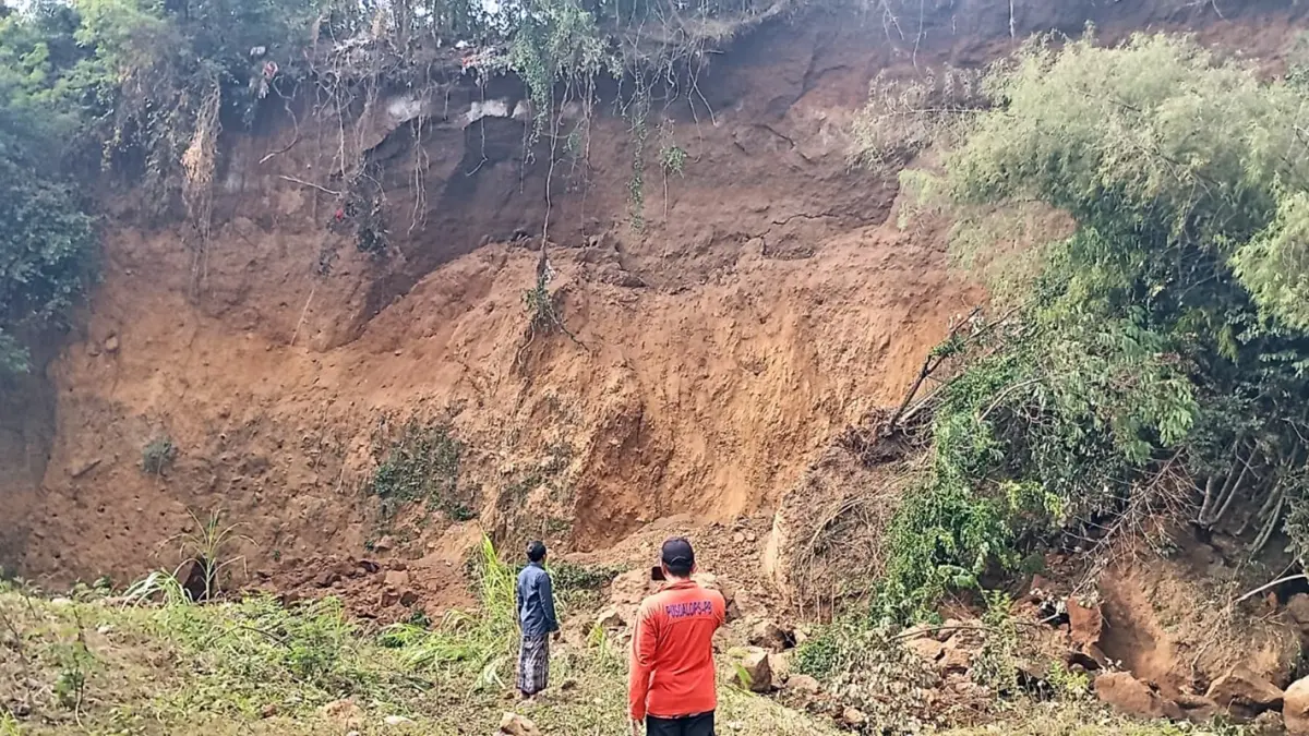 ASESMEN: Petugas TRC BPBD Kabupaten Probolinggo melalukan asesmen di lokasi tebing Dam 8, Desa Condong, Kecamatan Gading, yang longsor Jumat (5/6) siang.