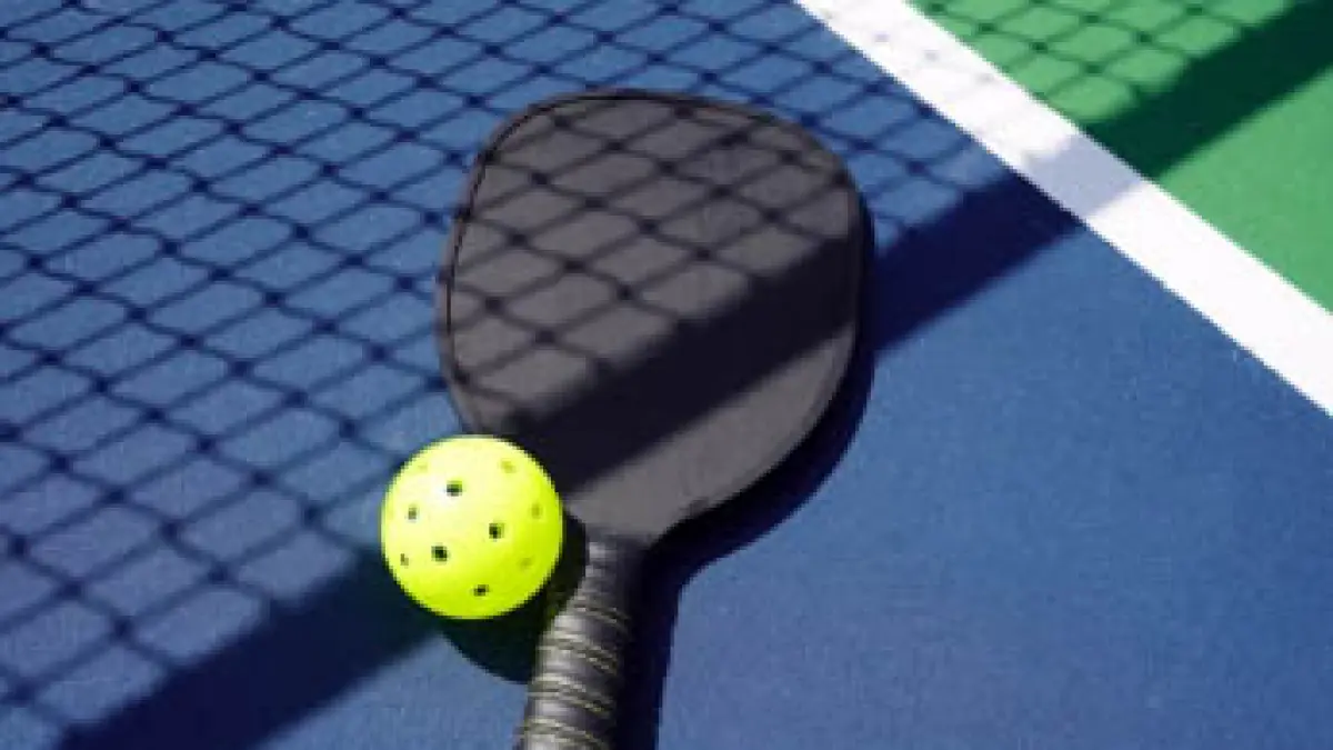 ILUSTRASI Pickle Ball