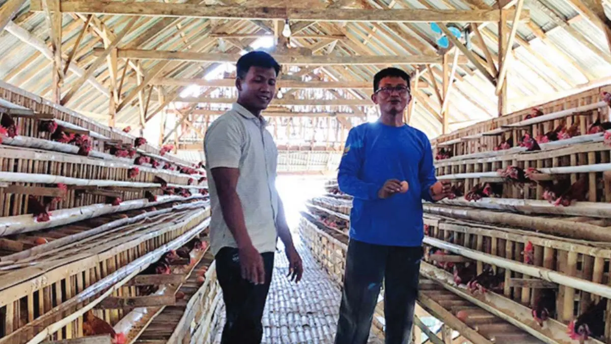 KETAHANAN PANGAN: Pendamping Teknik Desa Kecamatan Leces Ahmad Faisol Tanjung (kiri) bersama Sekretaris Desa Warujinggo, Sugeng meninjau peternakan ayam petelur di Dusun Darungan, Desa Warujinggo. (INNEKE AGUSTIN/JAWA POS RADAR BROMO)