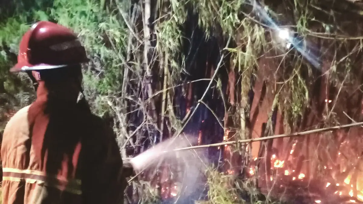 LAWAN API: Tim Damkar Kabupaten Probolinggo memadamkan kebakaran barongan bambu di Desa Jorongan, Kecamatan Leces, beberapa waktu lalu. (DOK. JAWA POS RADAR BROMO)