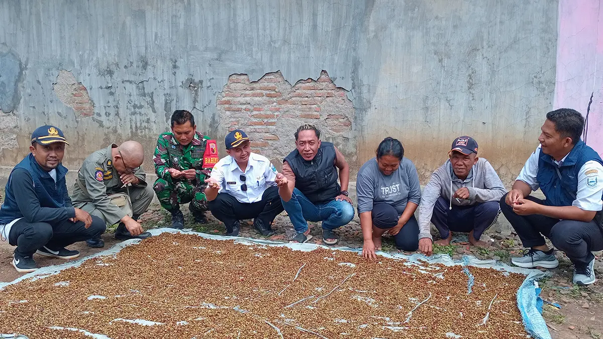 POTENSI DESA: Kepala Desa Patemon Kulon Muhammad bersama Camat Pakuniran Hasan Zainuri melihat penjemuran kopi lokal khas Dusun Koncer. (DIDIK PURWANTO/JAWA POS RADAR BROMO)
