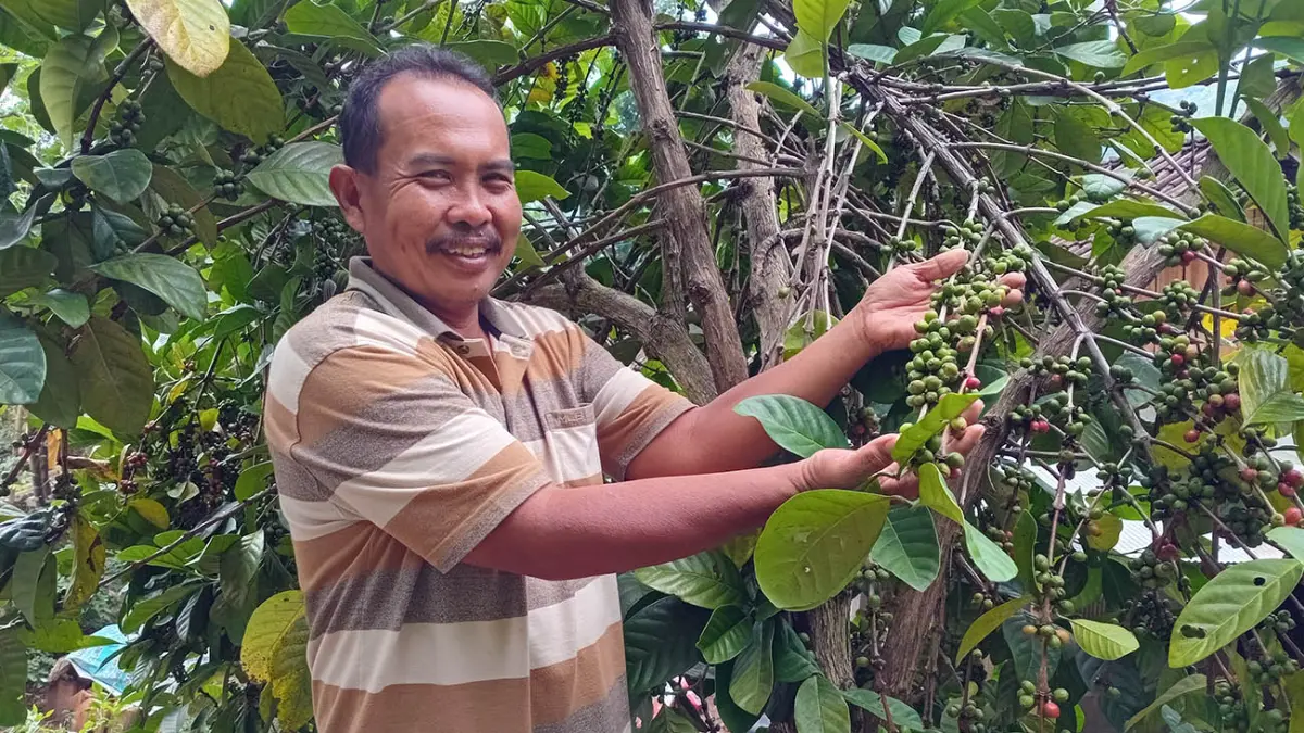 POTENSI DESA: Kepala Desa Blimbing Buhari menunjukkan potensi hasil perkebunan berupa kopi lokal khas Desa Blimbing. 
