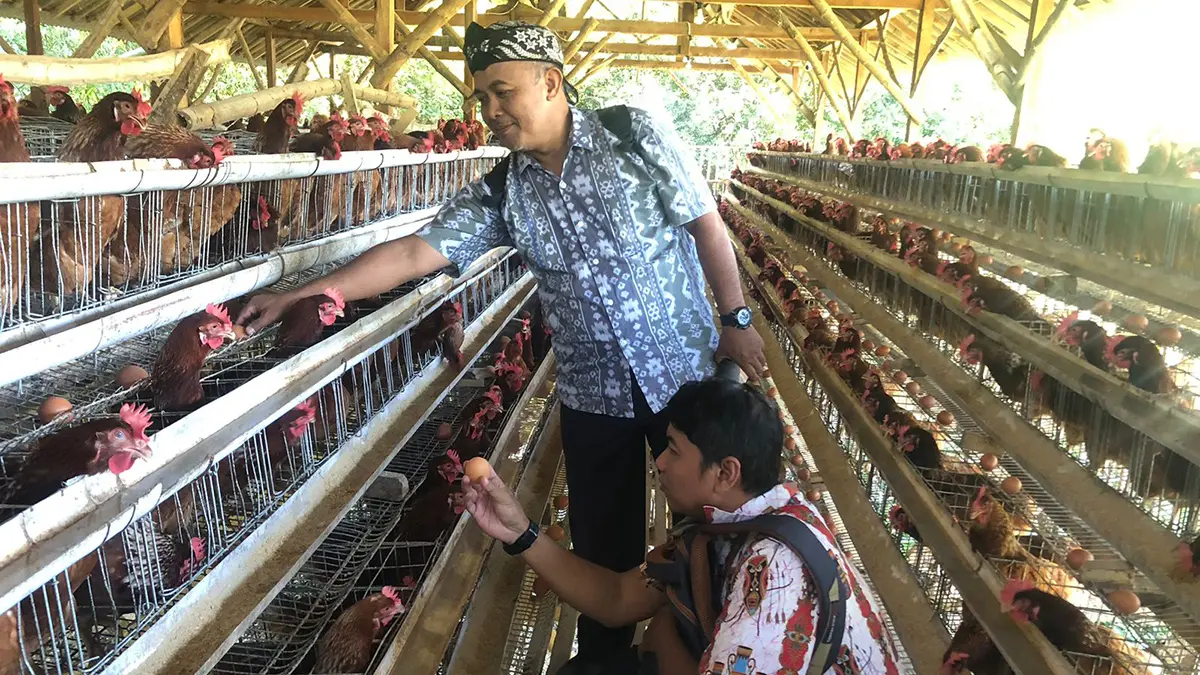 TERNAK: Pendamping Lokal Desa Kecamatan Leces Hel Abdul Rozaq (berdiri) dan Kasi Pembangunan Kecamatan Leces Yogo Prasetyo (jongkok) di lokasi peternakan ayam petelur di Desa Pondokwuluh, Kecamatan Leces. (INNEKE AGUSTIN/JAWA POS RADAR BROMO)