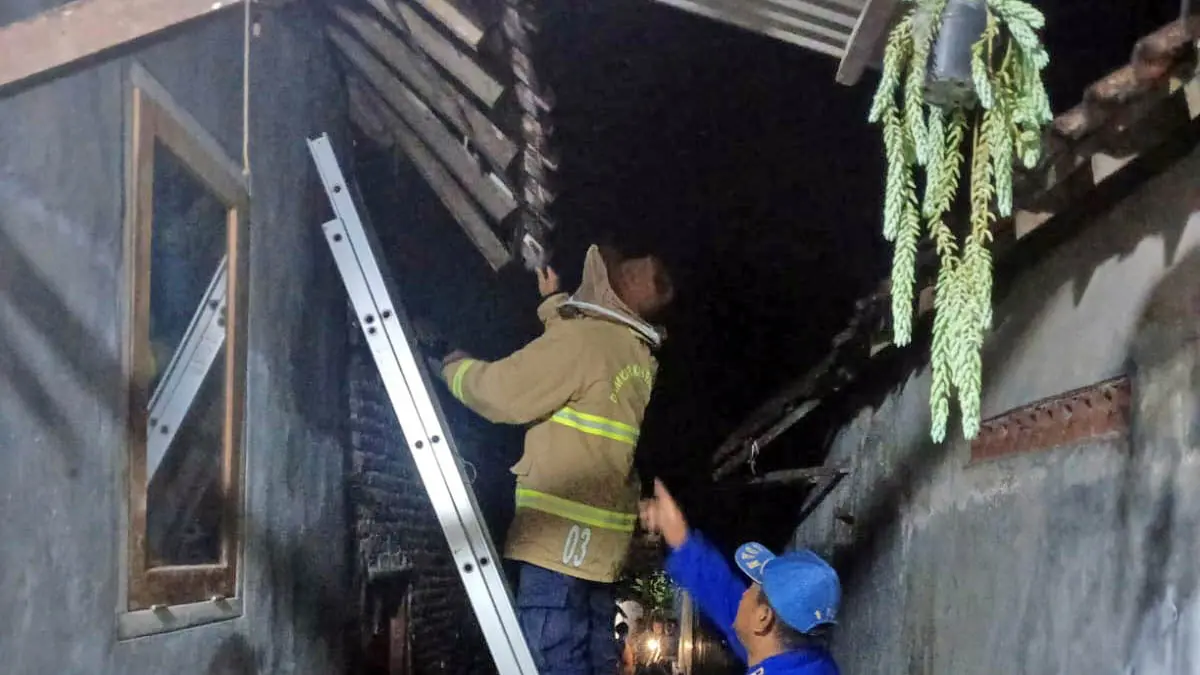 TURUNKAN: Tim Damkar Kabupaten Pasuruan saat mengevakuasi sarang tawon di atap rumah warga. (Damkar Kabupaten Pasuruan for Radar Bromo)