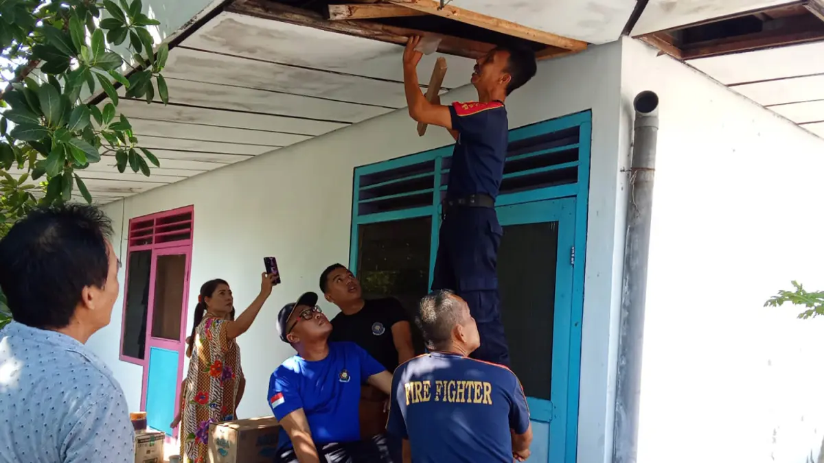 EVAKUASI: Petugas Damkar Satpol PP Kota Probolinggo saat melakukan evakuasi tawon kertas atau paper wasp di Kelurahan/Kecamatan Mayangan, Jumat (26/6).
