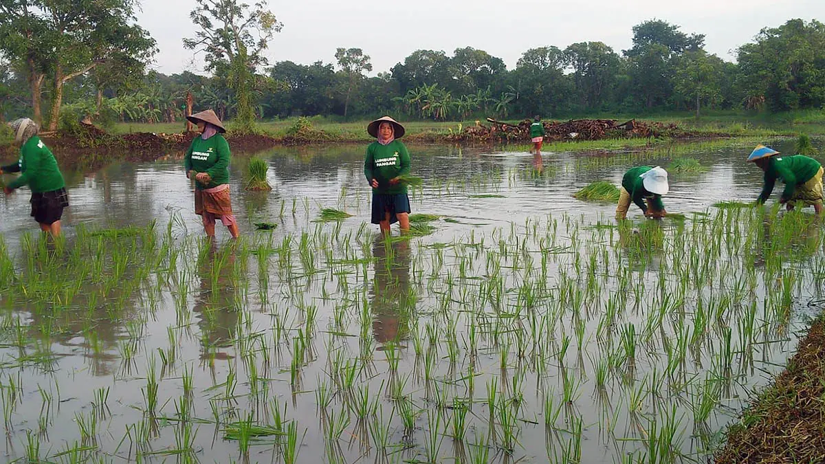 PANGAN: BAZNAS Kabupaten Pasuruan memberikan banyak peran dalam mendorong kesejahteraan masyarakat. Salah satunya, dalam mendukung ketahanan pangan. (BAZNAS Kabupaten Pasuruan for Radar Bromo)