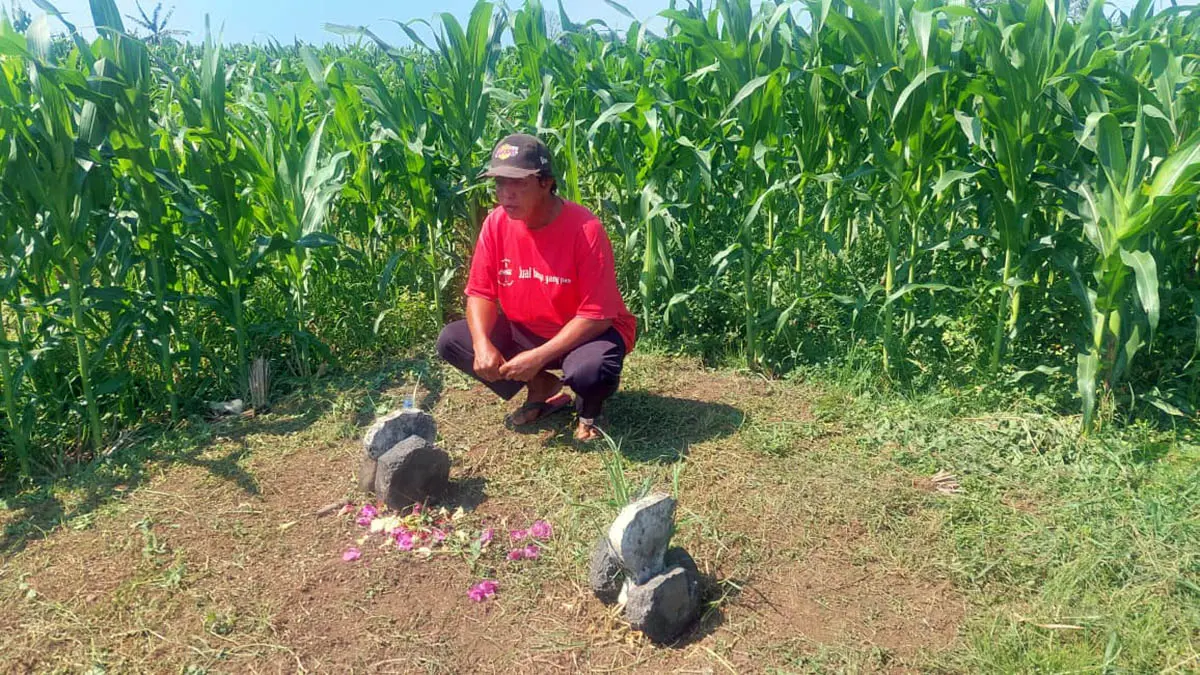 DIJAGA: Makam Bujuk Rima, pembabat alas Kelurahan Pakistaji, Kecamatan Wonoasih, Kota Probolinggo, yang berada di tengah-tengah lahan area pertanian. (Arif Mashudi/Radar Bromo)