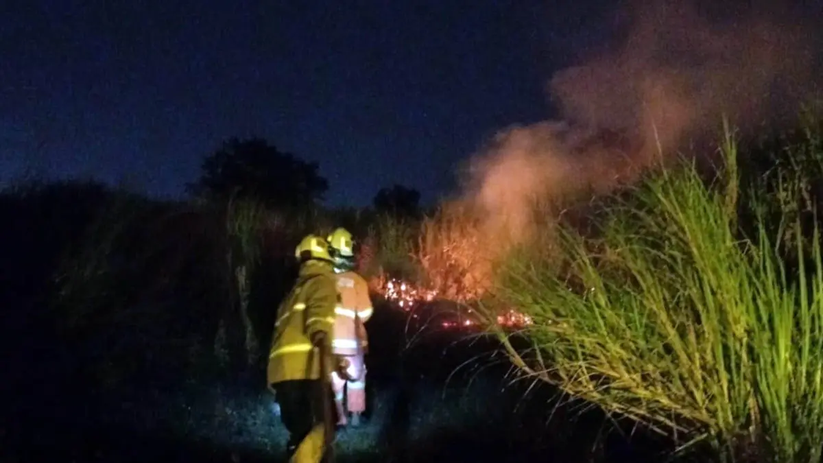 JINAKKAN: Petugas Damkar Kabupaten Pasuruan saat berusaha untuk menjinakkan api yang membakar alang-alang di wilayah Gempol, Kabupaten Pasuruan. (Damkar Kabupaten Pasuruan for Radar Bromo)