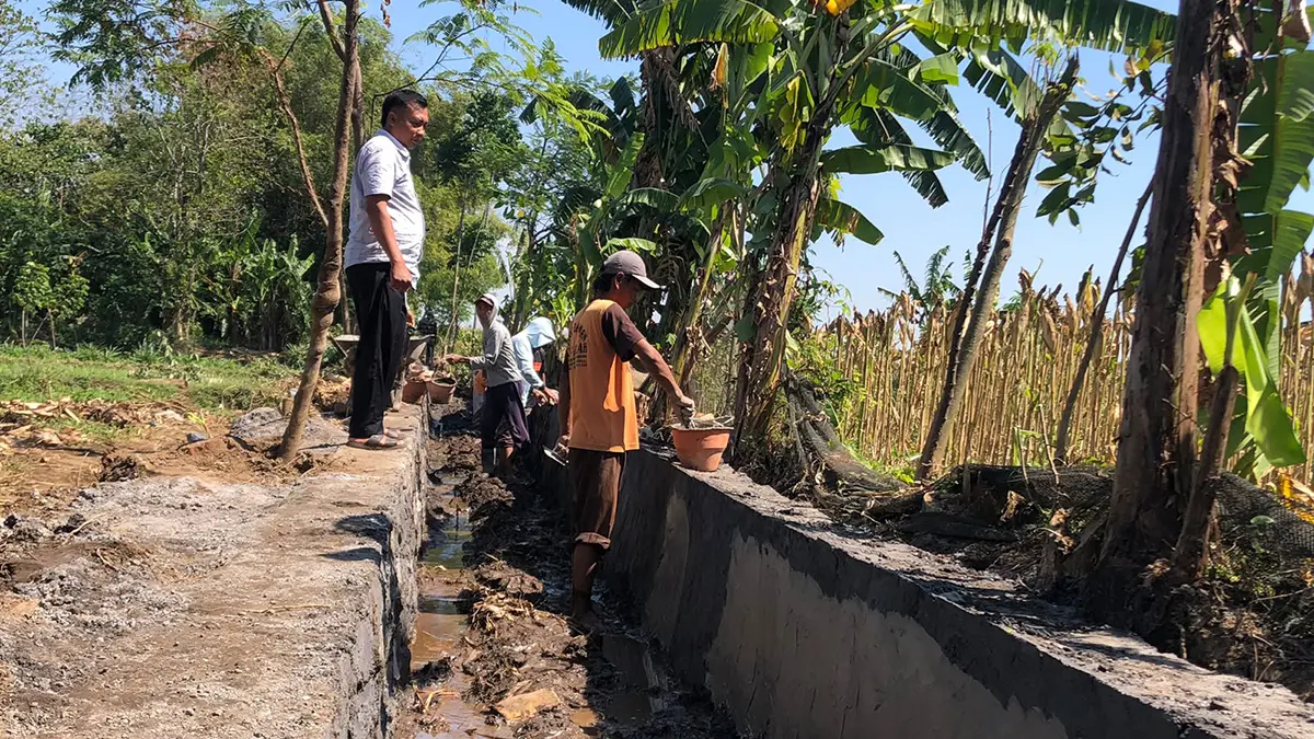 PERTANIAN: Kepala Desa Tunggak Cerme Musta