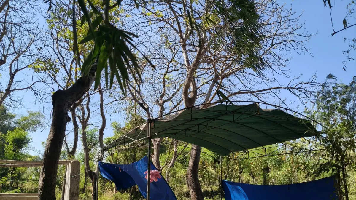 BERTAHAN: Tradisi tersebut dipertahankan untuk melestarikan budaya di wilayah setempat. Agar generasi muda, mengetahui sejarah desanya. (Busthomi/Jawa Pos Radar Bromo)