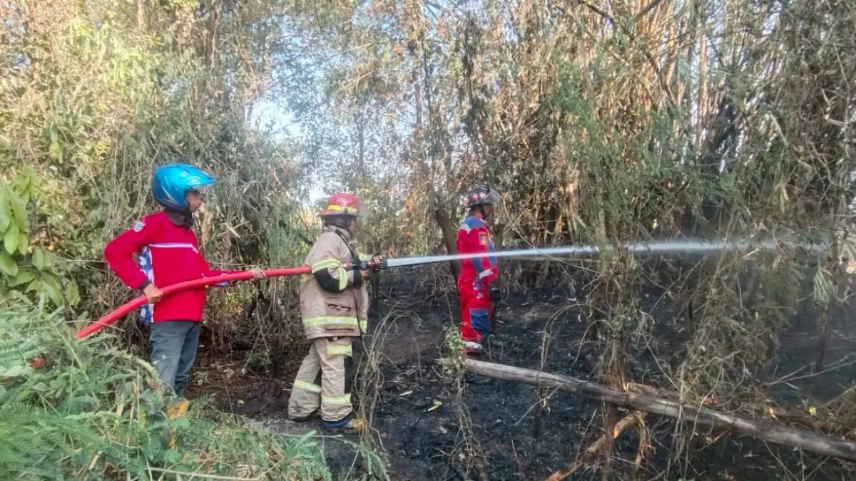 SEMPROT: Tim Damkar Satpol PP Kabupaten Probolinggo memadamkan api di rumpun bambu di Desa Tunggak Cerme, Kecamatan Wonomerto, Kabupaten Probolinggo, Jumat (10/7). (DAMKAR KABUPATEN PROBOLINGGO UNIT TONGAS FOR&nbsp;JAWA POS RADAR BROMO)