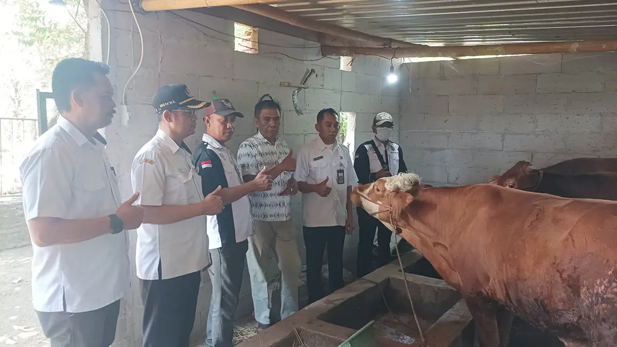 PENGUATAN EKONOMI: Penjabat (Pj) Kepala Desa Besuk Kidul, Mistahul Munir  (dua dari kanan) saat berada di lokasi unit usaha peternakan milik BUMDes Bangun Pertiwi. (Foto: Agus Faiz Musleh/Jawa Pos Radar Bromo)