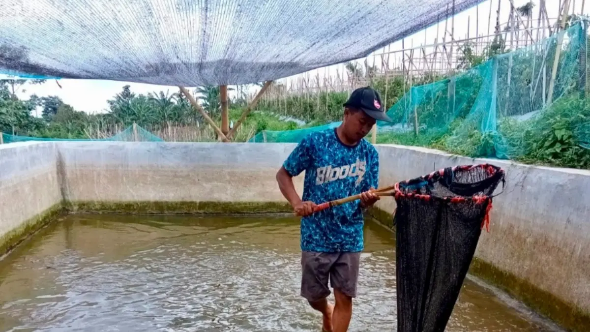 SIAP ISI: Sekretaris BUMDes Tambelang Solihin membersihkan kolam di RT 13/RW 3, Dusun Kramat, yang akan digunakan untuk budi daya lele dan nila. (Achmad Arianto/Jawa Pos Radar Bromo)