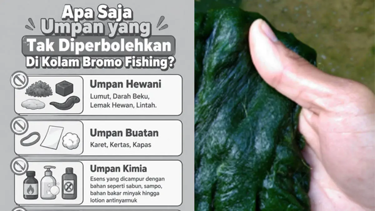 HARUS PAHAM REGULASI: Angler di Bromo Fishing menyiapkan umpan sebelum berlomba. (Foto: Istimewa)