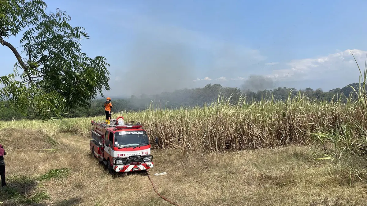 PADAMKAN API: Petugas BPBD Kabupaten Probolinggo saat memadamkan kebakaran lahan tebu di Desa Curahsawo, Kecamatan Gending, Kabupaten Probolinggo, Sabtu (18/7) siang.