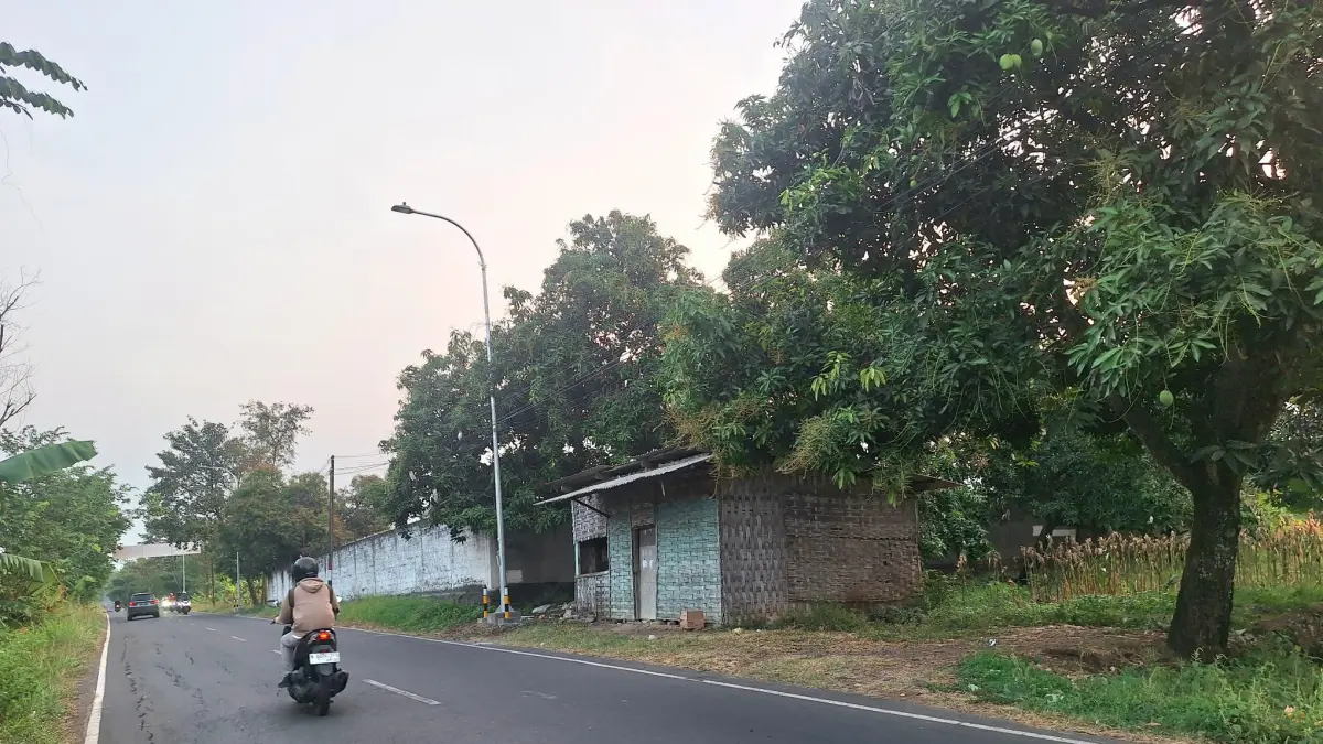 TERPASANG: Tiang PJU Bangil-Sukorejo yang sudah terpasang. Saat ini, pekerjaan akan dilanjutkan dengan pemasangan armatur, instalasi jaringan listrik, hingga perangkat pengendali sistem pintar.(Busthomi/Jawa Pos Radar Bromo)