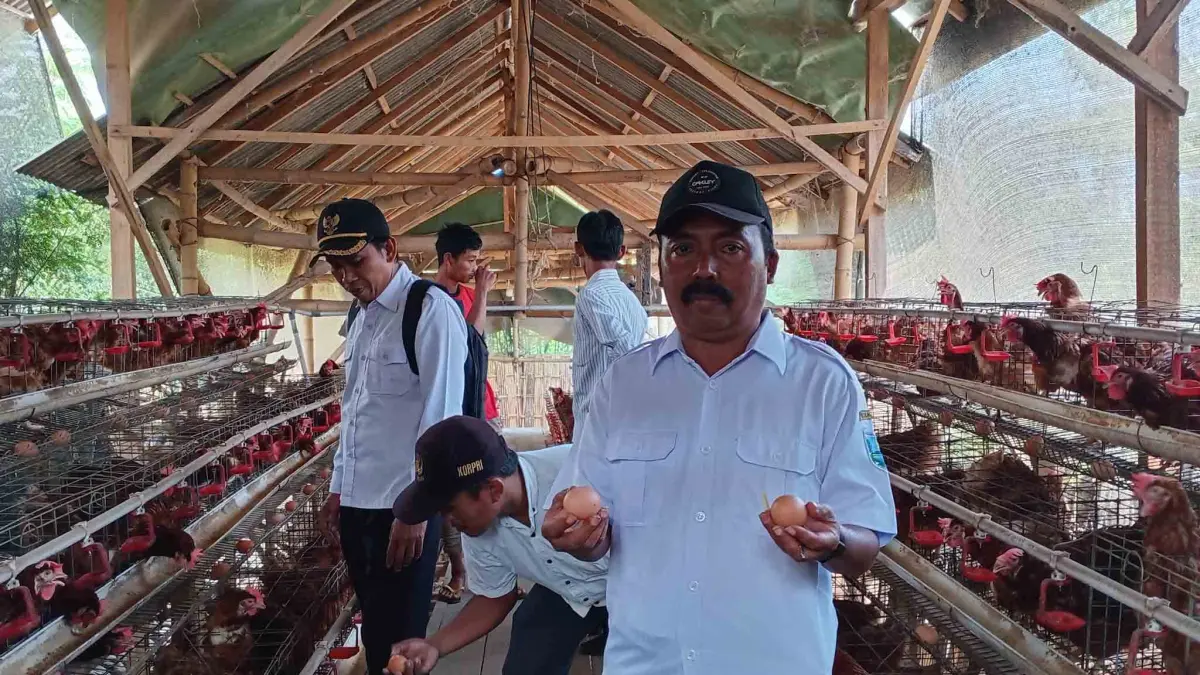 MAKIN MAJU: Kepala Desa Sidomulyo H. Zainuddin Jamil menunjukkan telur hasil peternakan ayam petelur yang dikelola BUMDes Sidoagung Mandiri. (DIDIK PURWANTO/JAWA POS RADAR BROMO)