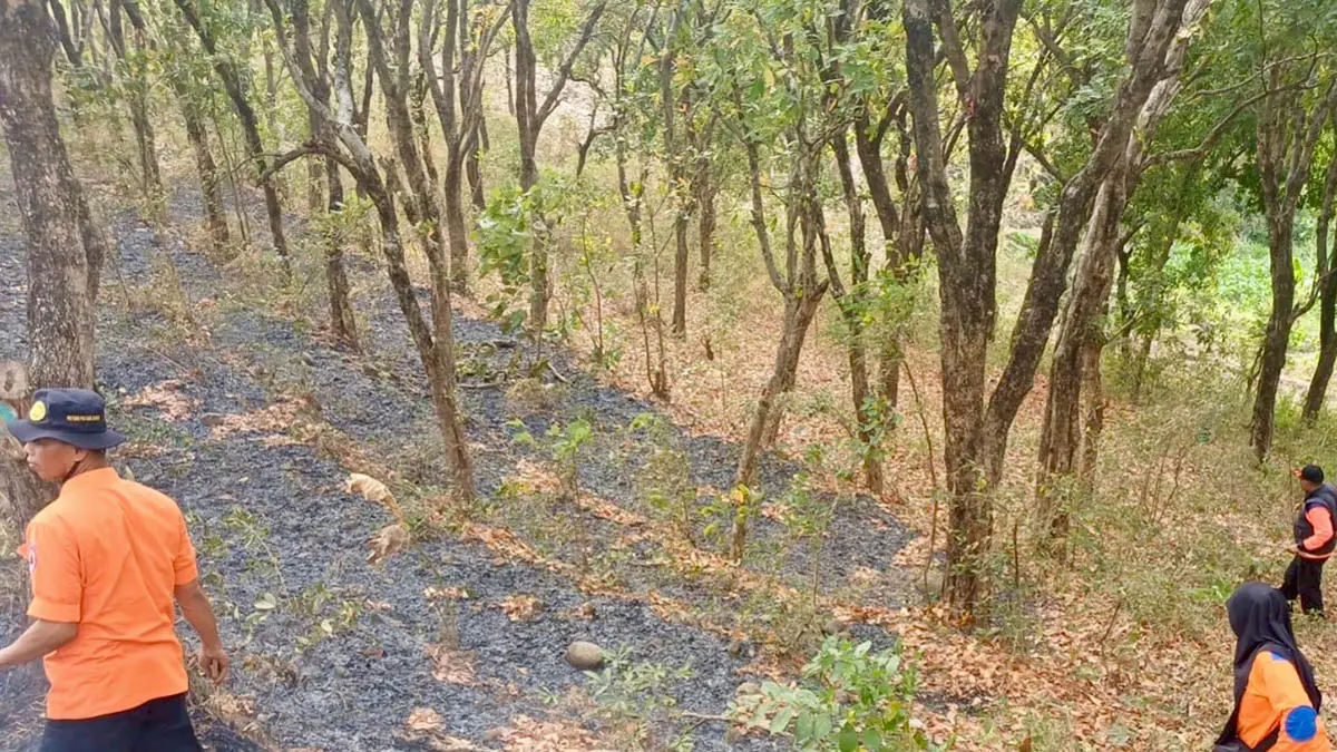 SUDAH PADAM: Personel BPBD Kabupaten Probolinggo memadamkan api yang membakar lahan di Desa Pasembon, Kecamatan Kotaanyar. (Foto : BPBD Kabupaten Probolinggo for Jawa Pos Radar Bromo)