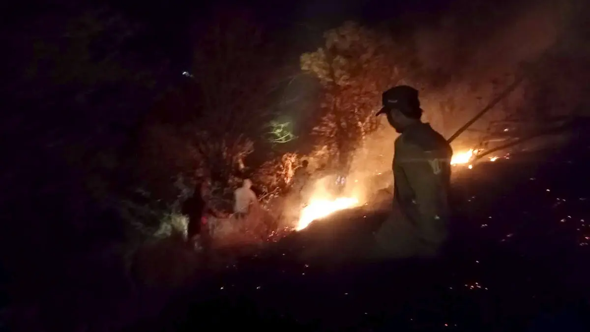 AMUK SI JAGO MERAH: Kondisi hutan di Gunung Geni yang dilalap api. 